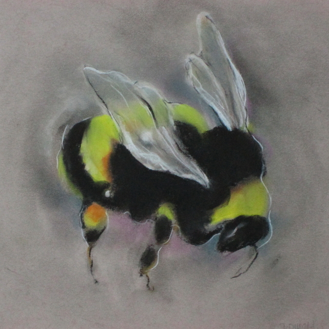 Bumble Bee