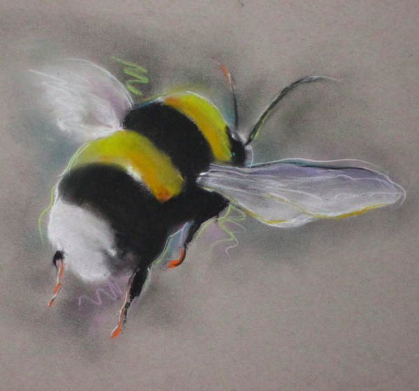 Bumble Bee